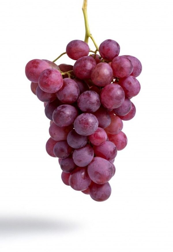Grape